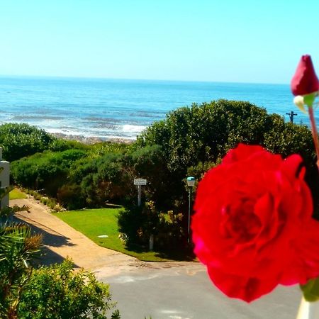 Belle Vue Guesthouse Hermanus Exteriér fotografie