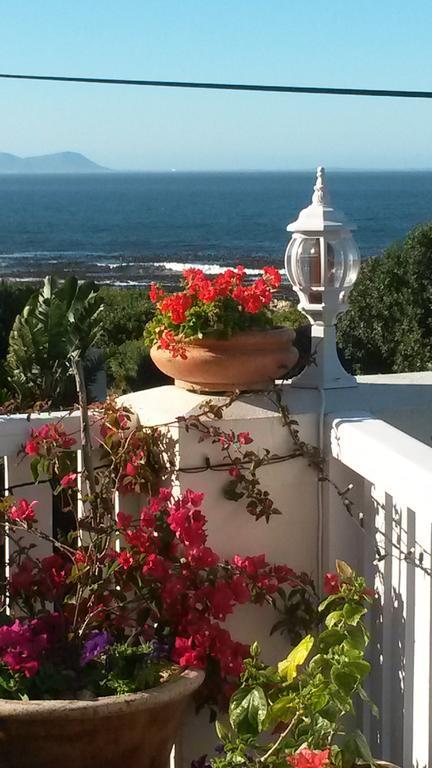 Belle Vue Guesthouse Hermanus Exteriér fotografie