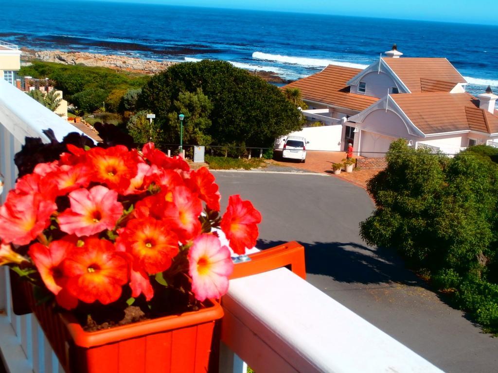 Belle Vue Guesthouse Hermanus Exteriér fotografie