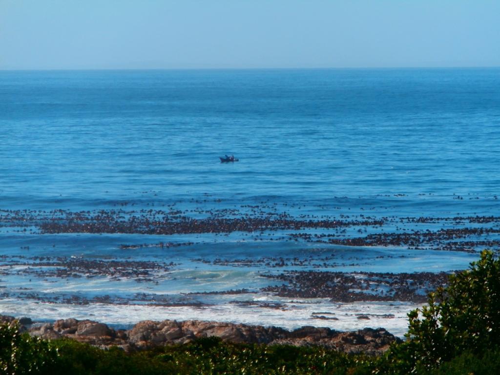 Belle Vue Guesthouse Hermanus Exteriér fotografie