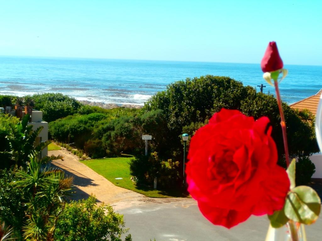 Belle Vue Guesthouse Hermanus Exteriér fotografie