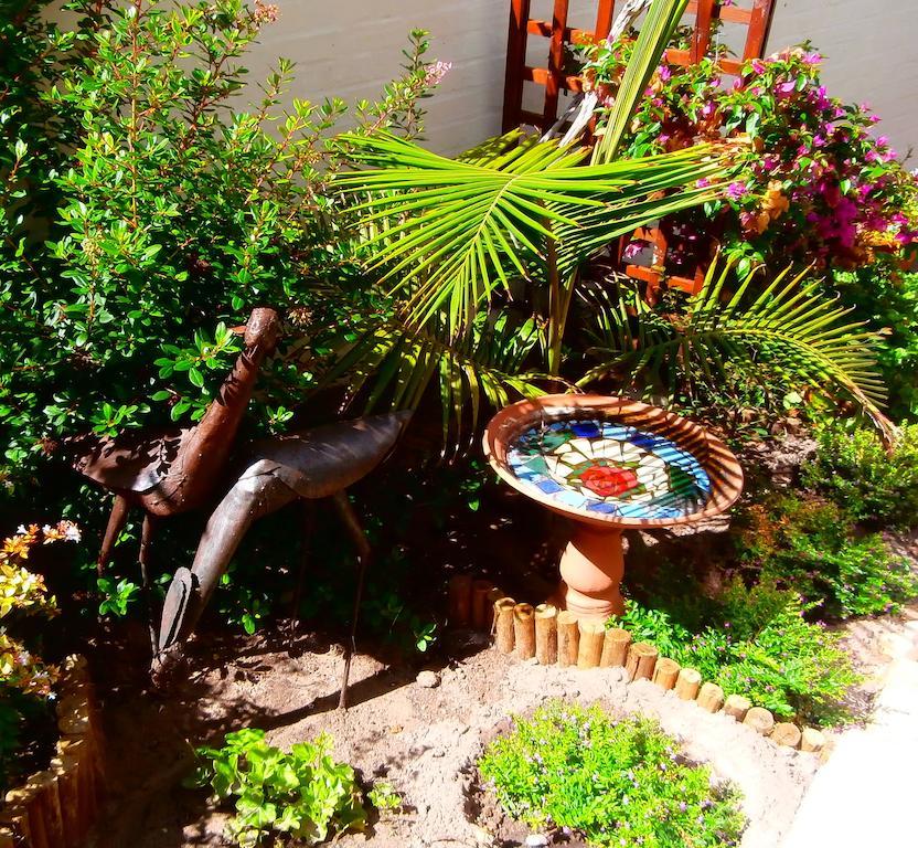 Belle Vue Guesthouse Hermanus Exteriér fotografie